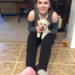 Meet your Posher, Cheyenne